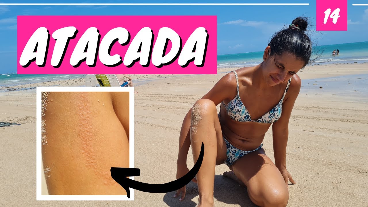 🥵 NO TODO es disfrute 👉 Llegamos a MARAGOGI y nos pasó esto 🇧🇷 Ep.14 [Japaratinga, Alagoas]