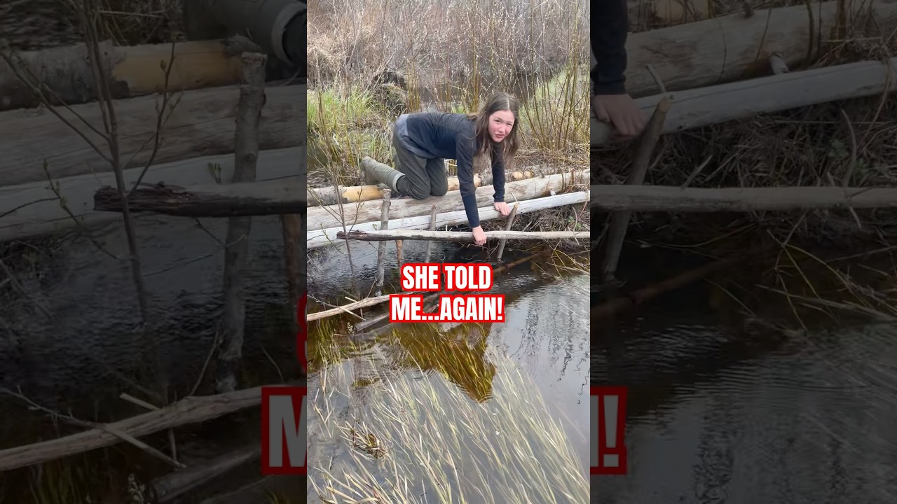 Teaching Kids - Beaver Trapping #takla #trapping