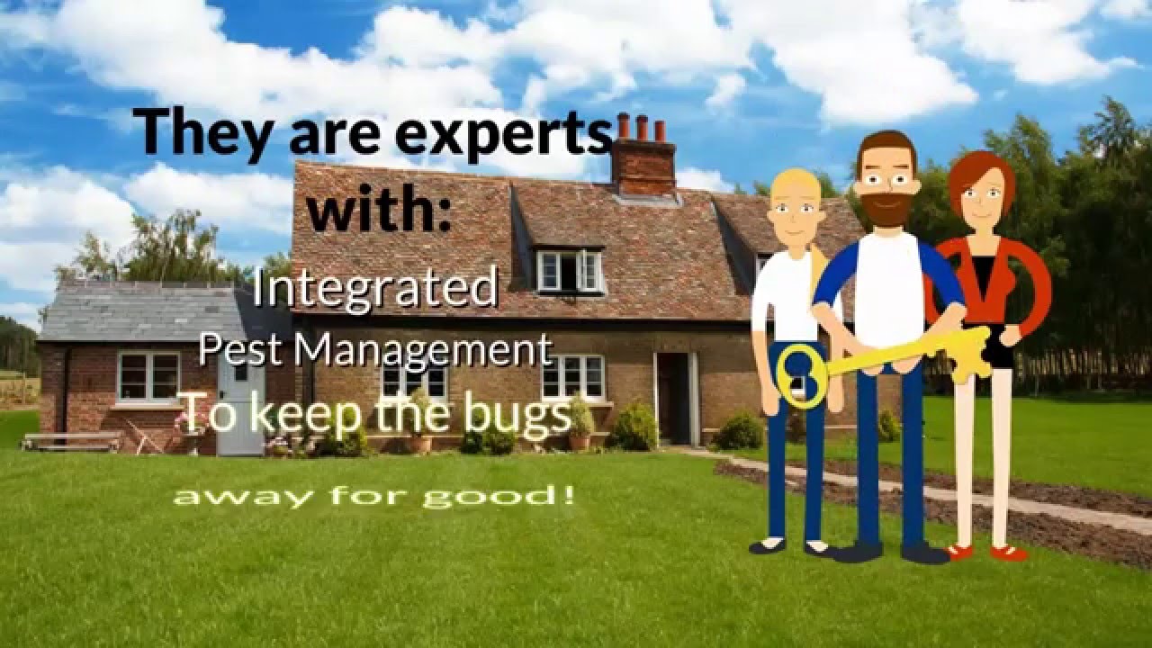 Modesto Pest Control | Manteca CA Exterminator Services- Onstar