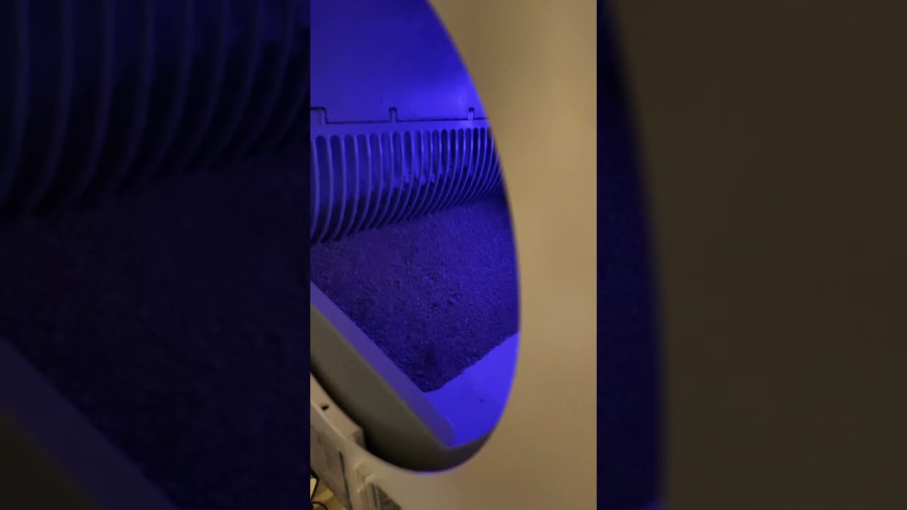 Tech for my cats