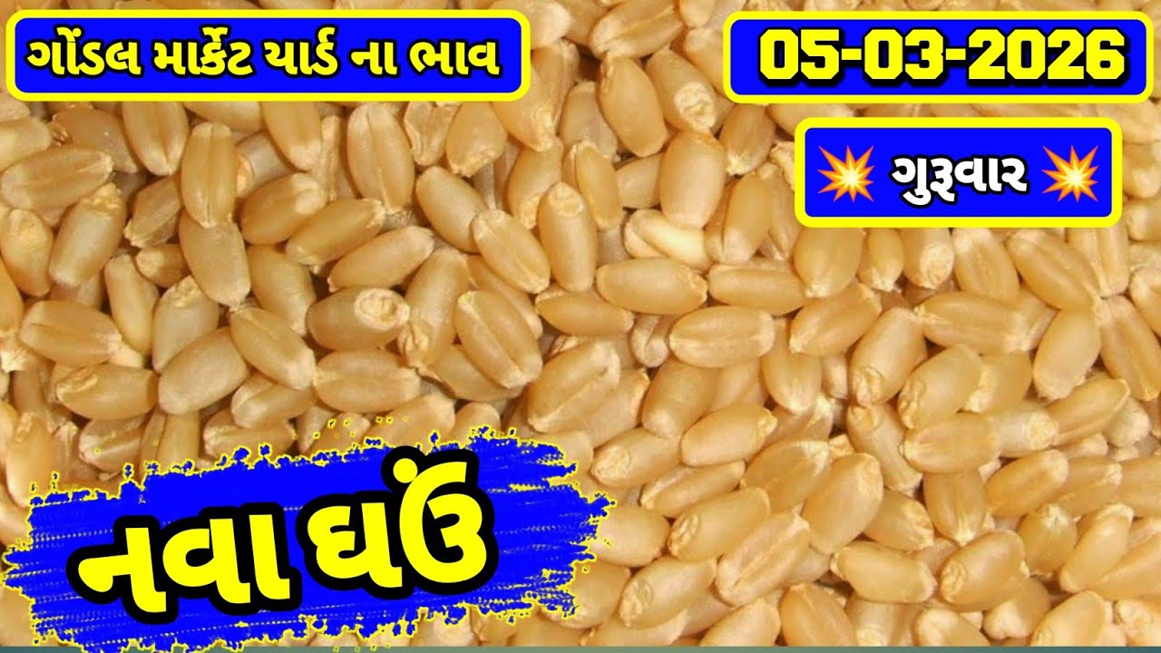 નવા ઘઉં ના ભાવ | 05-03-2026 | ગોંડલ નવા ઘઉંના ભાવ | Wheat Market Price | RJ Gondal Marketing Yard 