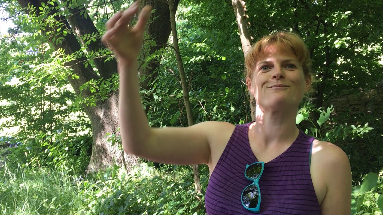 Sheffield Woodland Connections - Sheffield is Truly Blessed