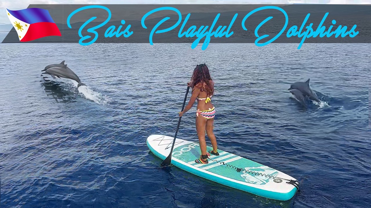INCREDIBLE Dolphins Chasing 🐬💪TAÑON STRAIT | Bais, Negros Oriental |  Alegria, Cebu | ADVENTURESS