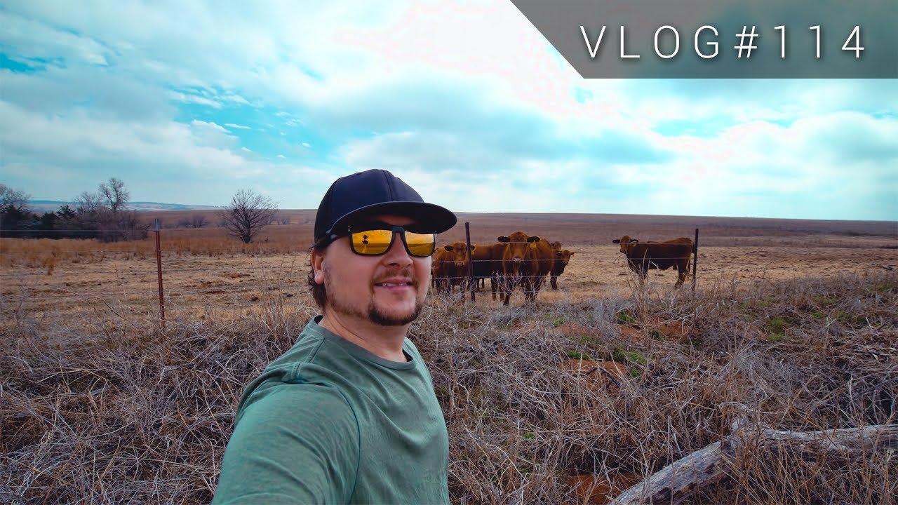 VLOG #114 - The No-Time-Lapse, Drone Flying, FAIL VLOG - March 18, 2018