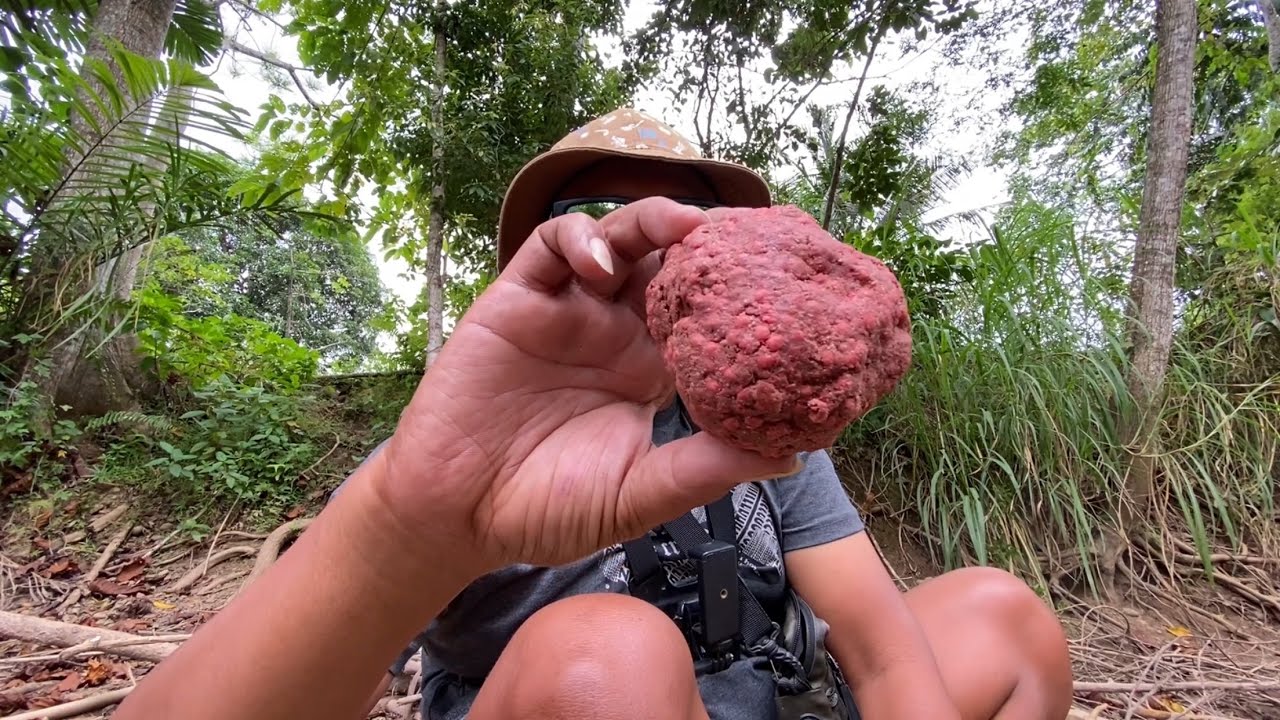 🔴REEL MENJERIT 😱 Capung 662 nyaris patah !!