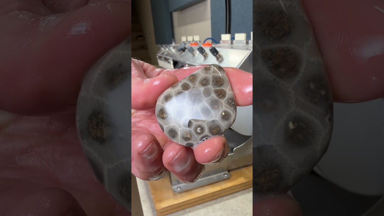 Everything You Ever Wanted to Know about Polishing a Petoskey Stone