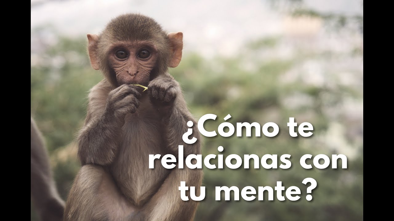 ¿Cómo te relacionas con tu mente? con Jenny Moix
