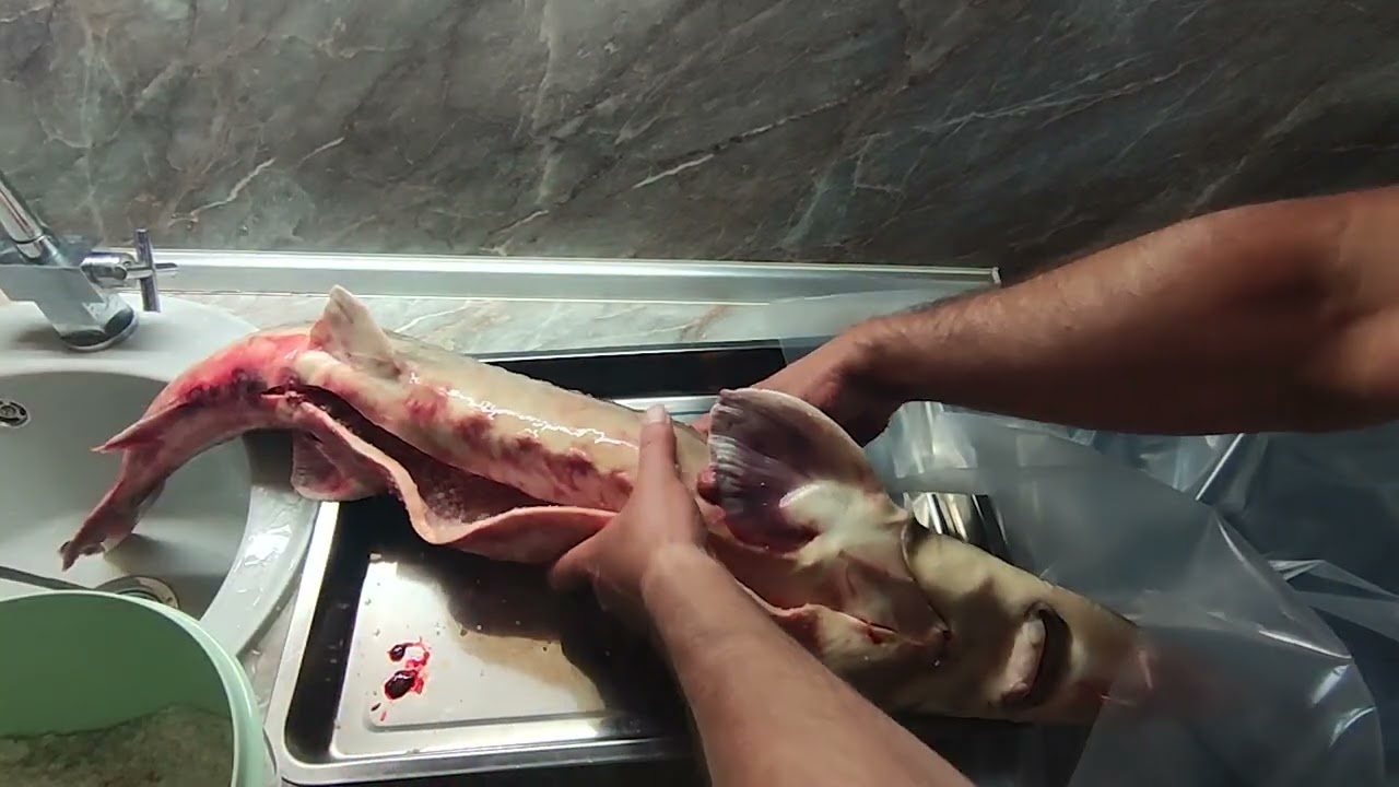 Осётр горячего копчения. Вкуснятина!