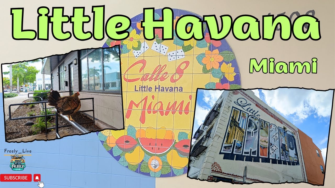 Little Havana tour - caratteristico quartiere di  Miami