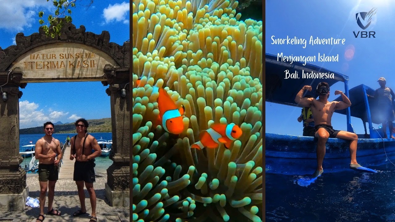 Snorkeling Adventure to Menjangan Island, Bali. #lovebali #balitrip