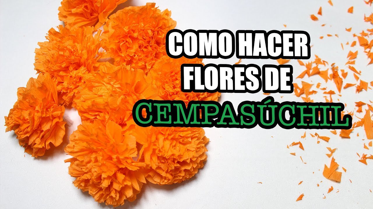 COMO HACER FLORES DE CEMPAS&Uacute;CHIL DE PAPEL CREPE &iexcl;MUY F&Aacute;CIL!