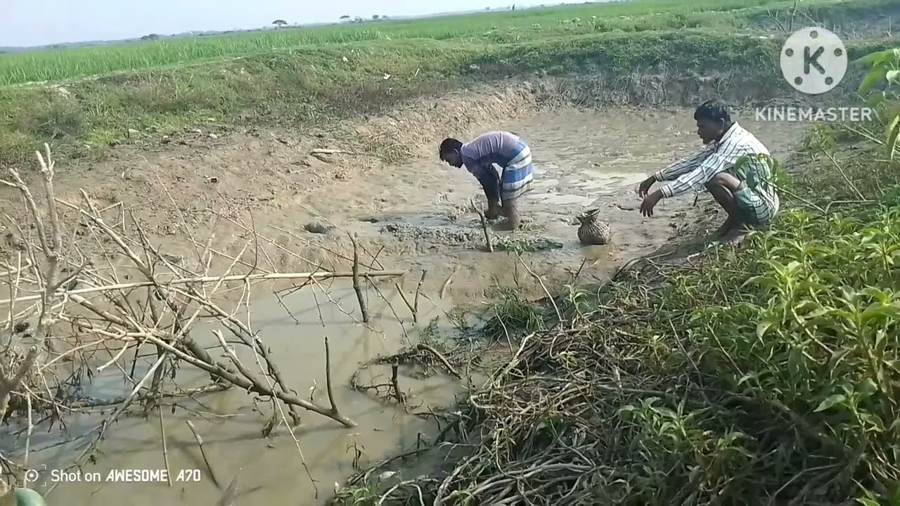 হাওরে মাছ ধরার দৃশ্য 