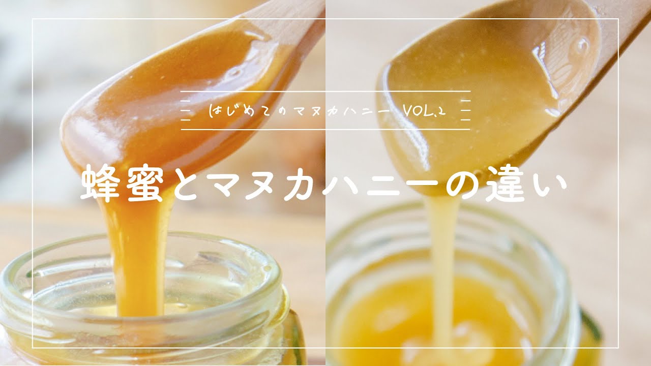 【はじめてのマヌカハニー②】「マヌカハニーとはちみつの違い」｜ マヌカハニー専門店 ハニーマザーがマヌカハニーについてご紹介♪