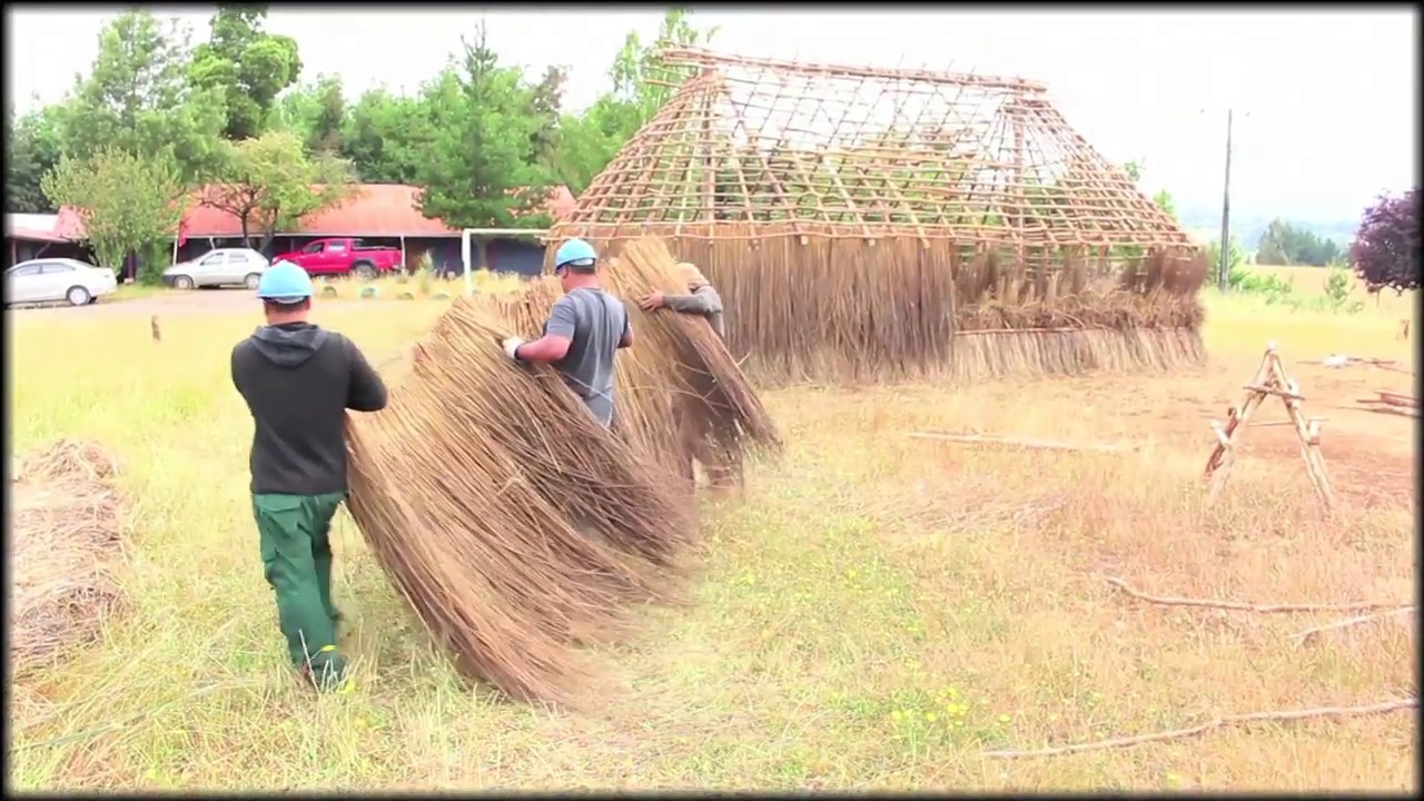 MAPUCHE ÑI RUKA