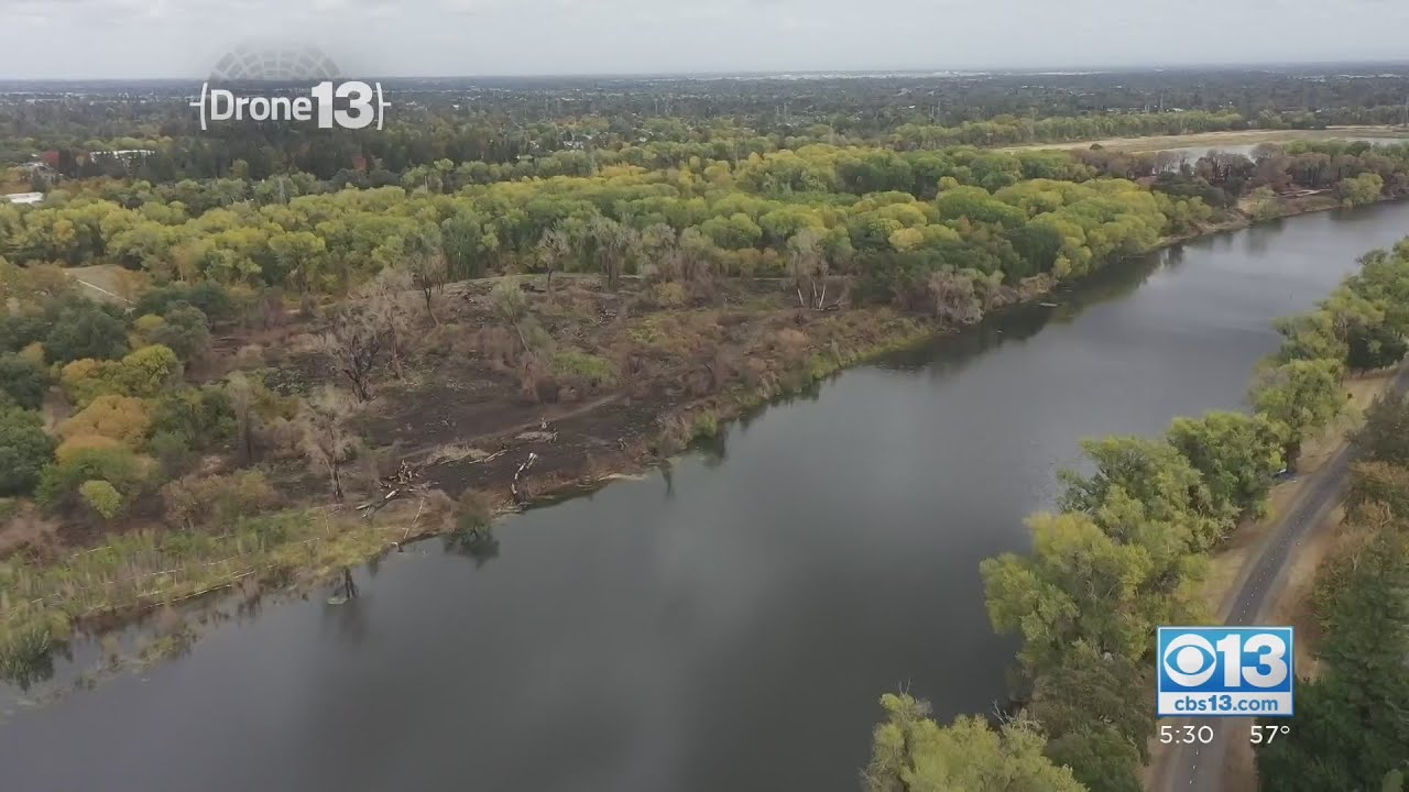 Group Calls For Cleanup Of American River Parkway