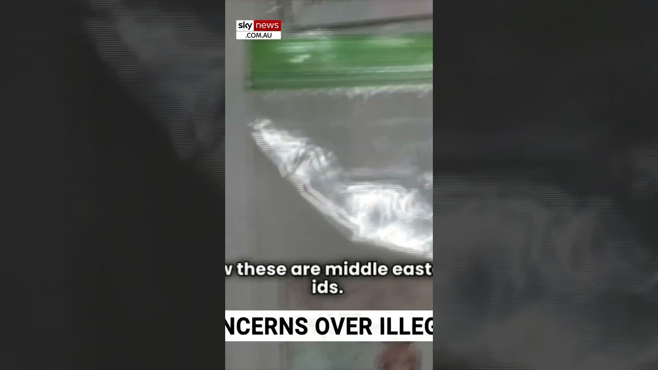 Illegal immigrants &lsquo;rip up their papers&rsquo; once in the US
