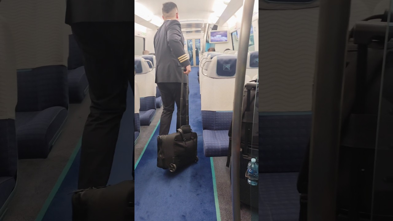 Skip the Taxi! This Train is the Best Way to Hong Kong ##hongkong