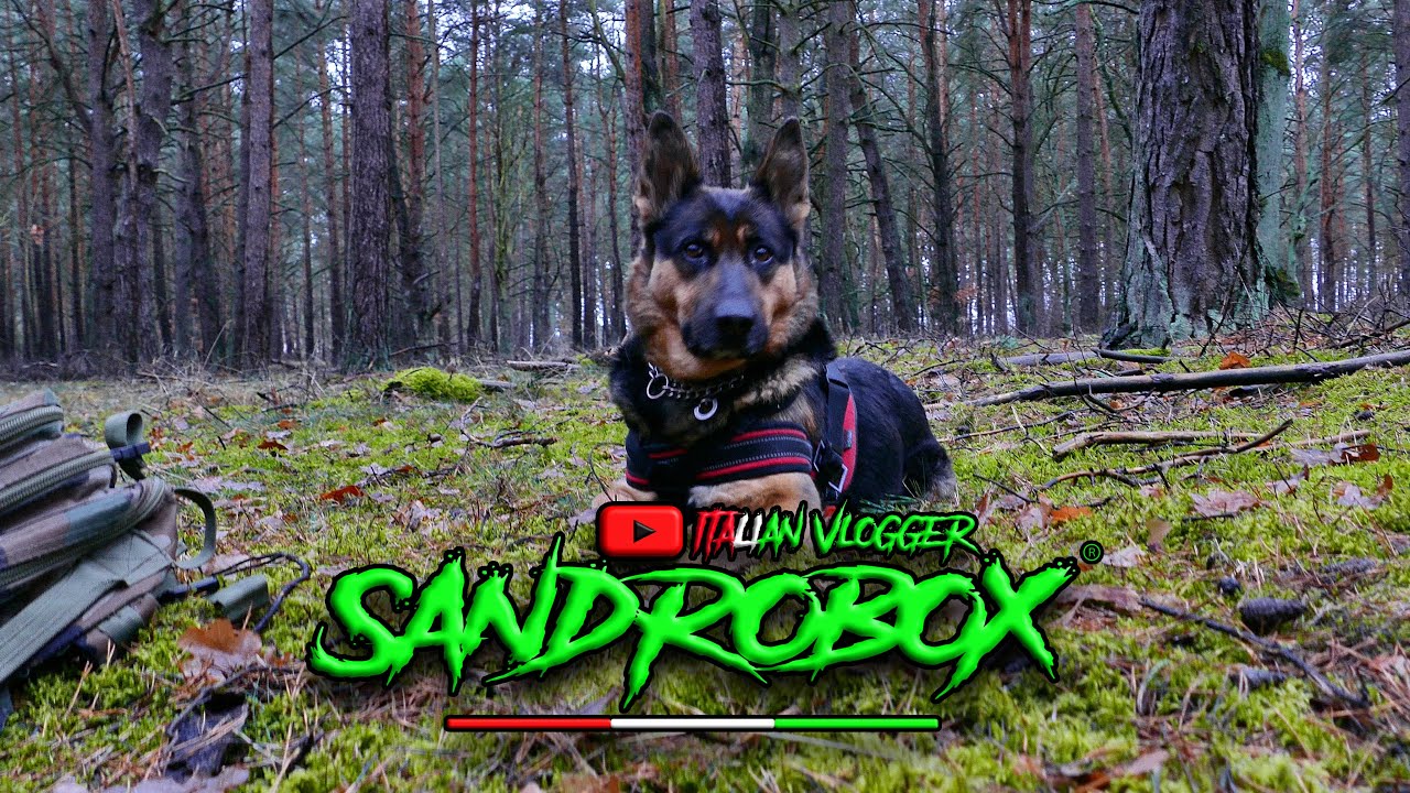 Punti di vista! Catch me if you can -SANDROBOX CAMPERVLOG-