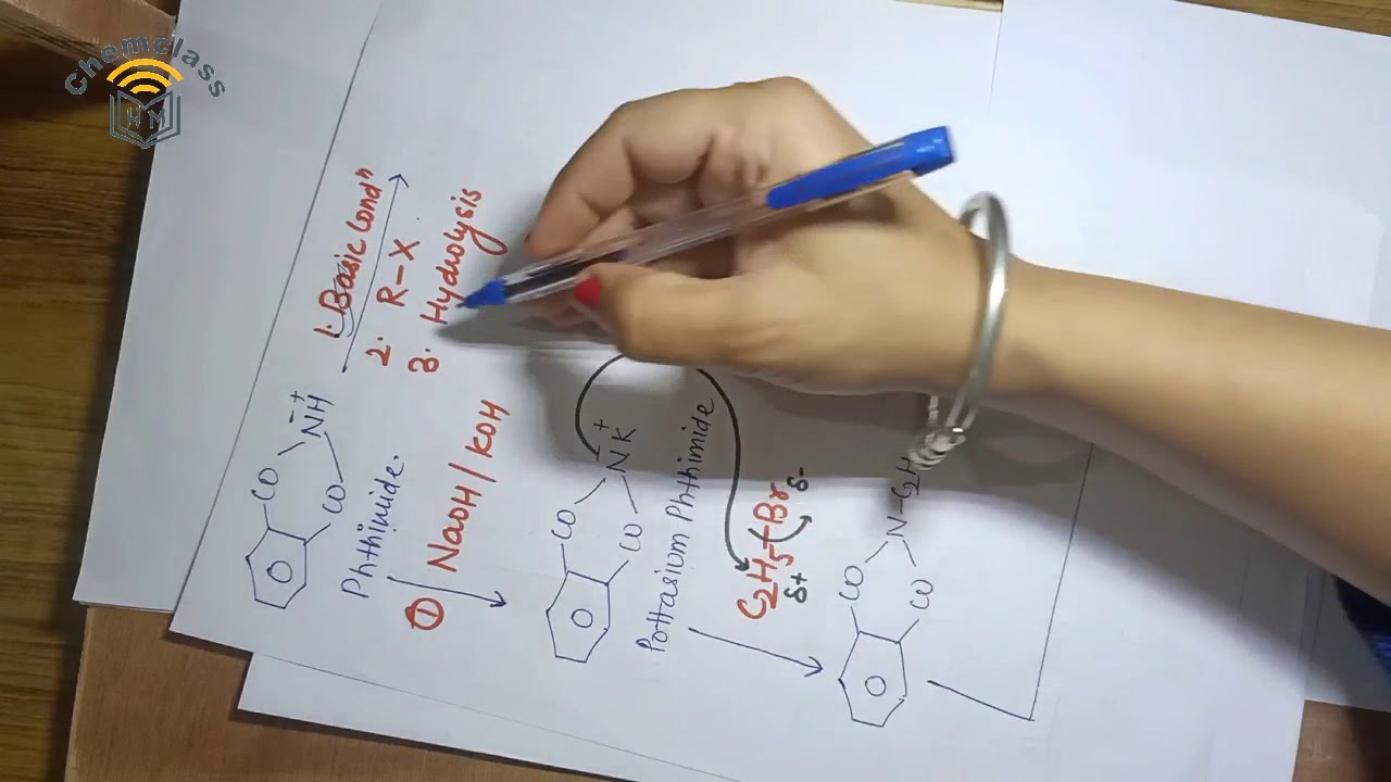 Synthesis of Amino Acids || Amino Acid | L-2 | Dr. Manvinder Kaur