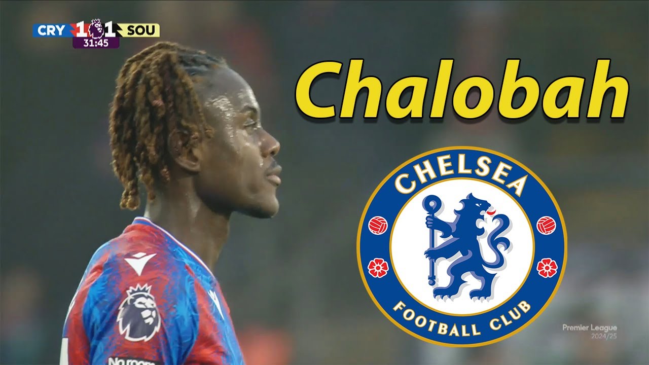 Here Is Why Chelsea Recalled Trevoh Chalobah 2024/2025 🔵