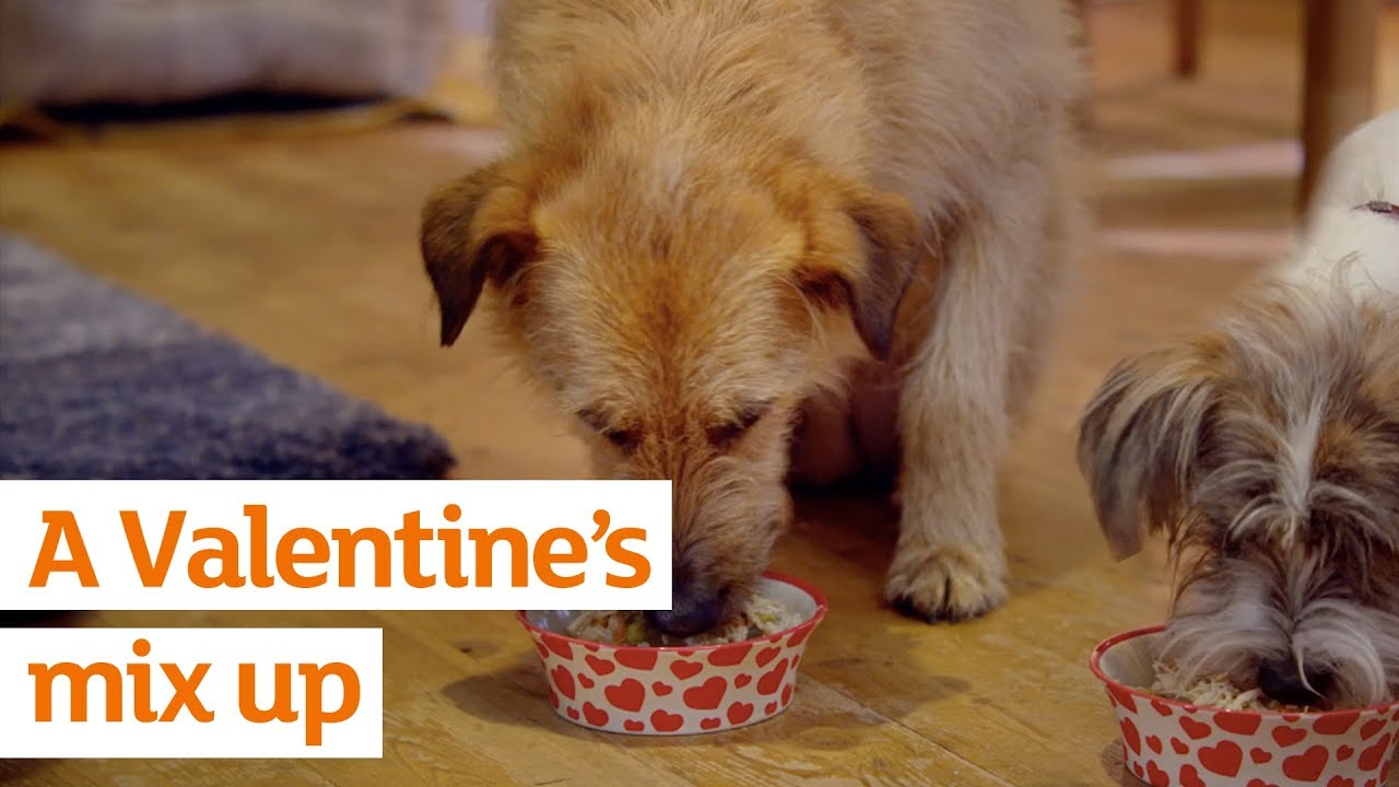 A Valentine’s mix up | Valentine’s Day | Sainsbury’s