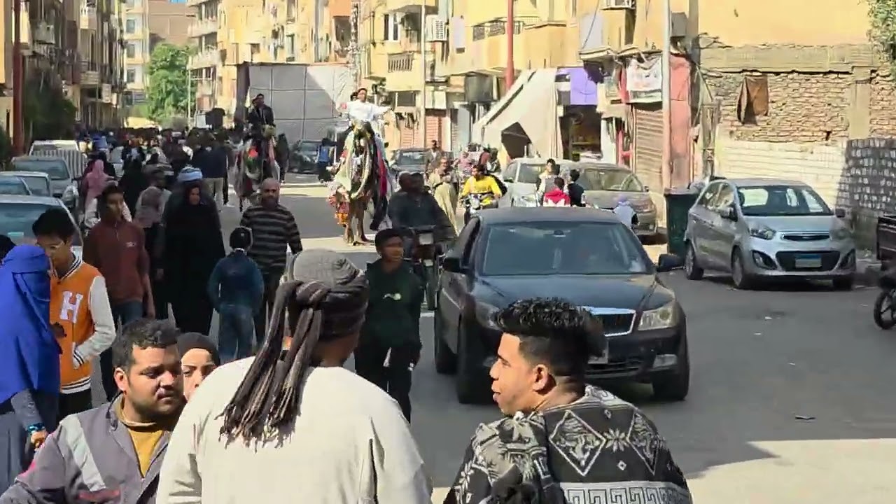 Wild Festival in Luxor 🇪🇬 | Abu al-Haggag Celebration with Horses & Camels