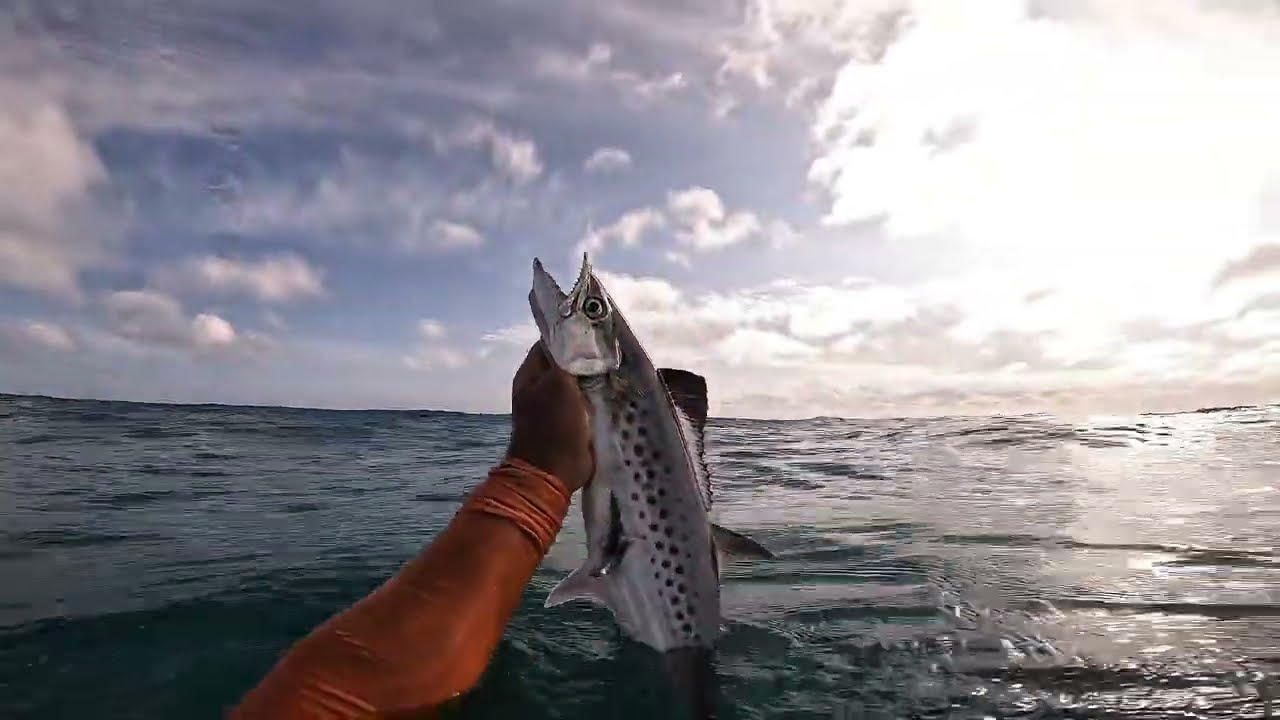 “Esperei, alinhei… e aconteceu” PESCA SUB.