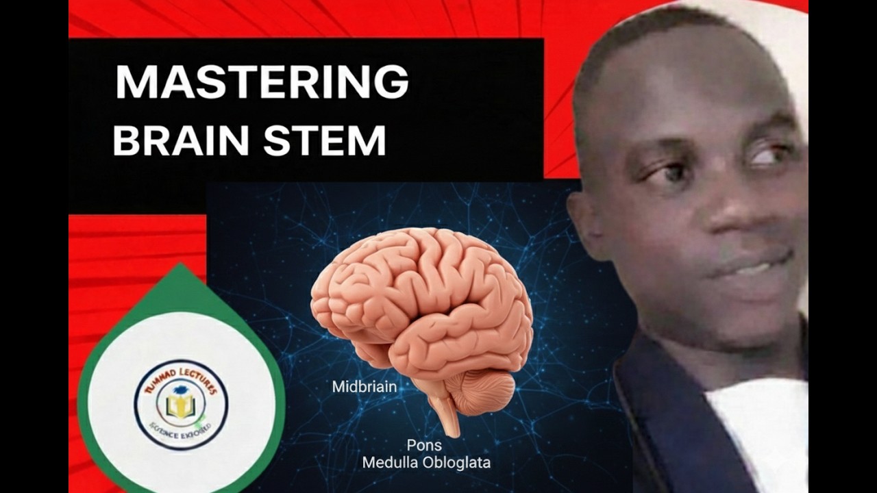 MASTERING BRAINSTEM ANATOMY 