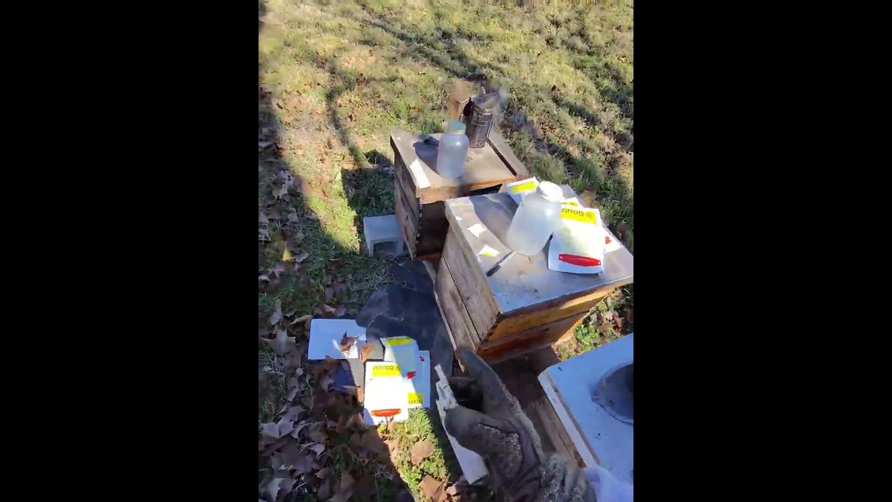 Savanna Apiary 🐝 | Norroa Jar Feeder Math (2 Liters Per Hive)