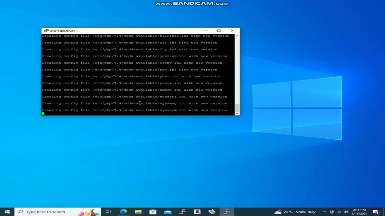 Install Pi-Hole on my Pi Access Point