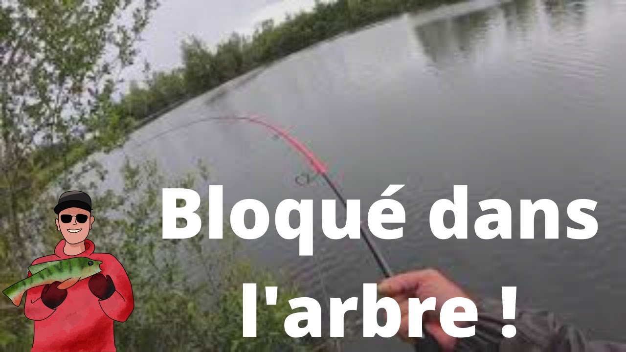Ce silure coince ma canne dans les arbres