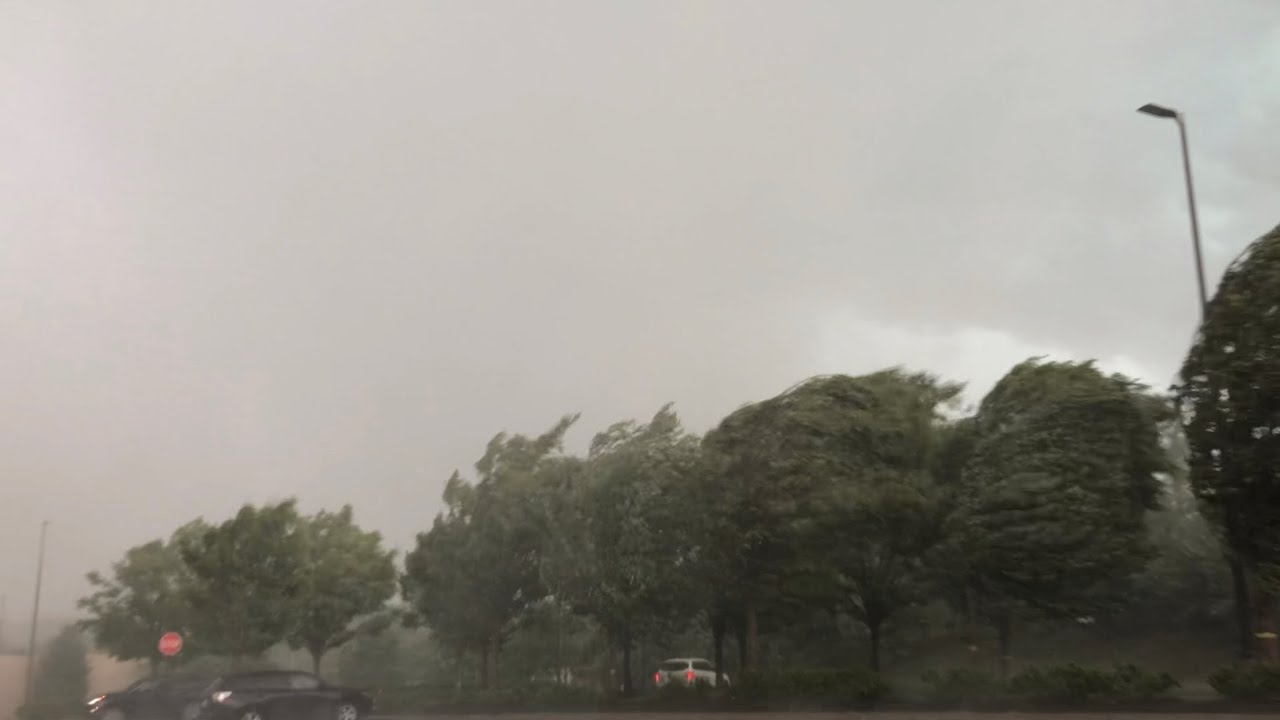 6-3-20 - Derecho Event - Severe Thunderstorm in Springfield, PA