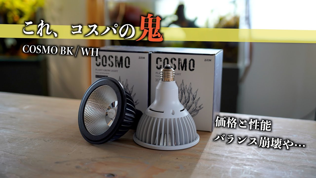 【コスパえぐい】5000円以下のお勧めライト [COSMO BK / WH] レビュー || 見た目はツクヨミ(月詠)とほぼ同じだが性能は…