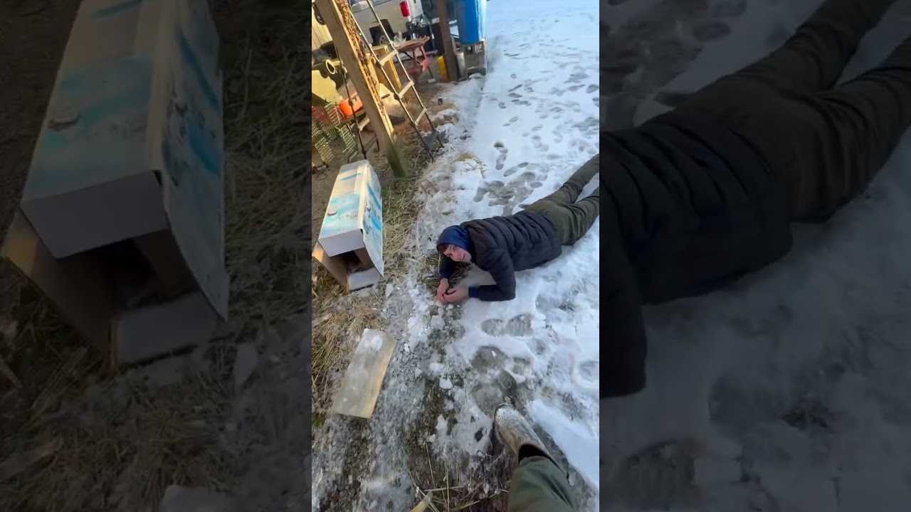 Zab&oacute;jczy sopel kontra żel balistyczny! #Jezus #SzaryGang
