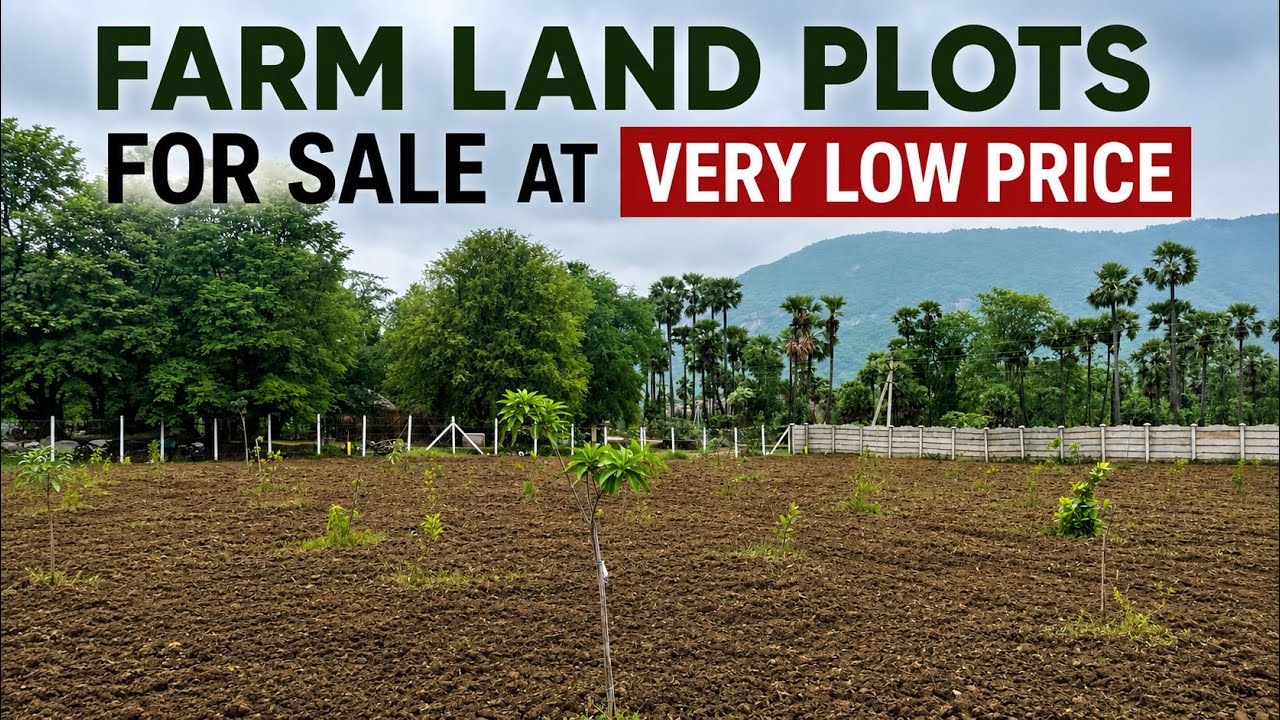 LOW PRICE GUEST HOUSE FARM LAND PLOTS FOR SALE