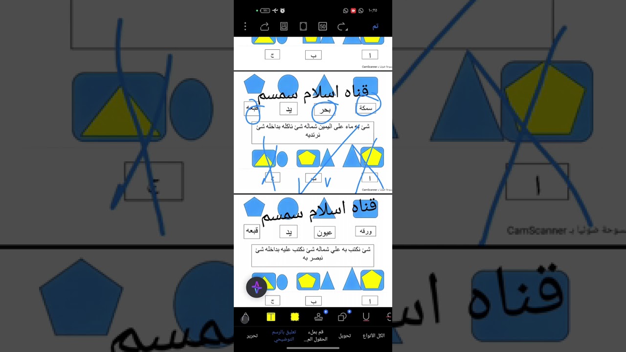 اي كيو #البريد #اسلام سمسم #سمكة#حذاء#بحر #اسئله الجهاز المركزي #اي كيو اسلام سمسم
