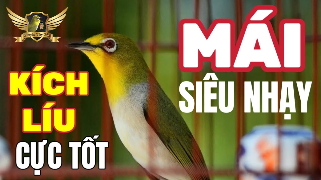 Khuy&ecirc;n M&aacute;i Tơ K&iacute;ch Lửa Nhanh Căng L&iacute;u Bền - File D&agrave;nh Cho Bổi Mộc Đ&atilde; Ổn Định Th&uacute;c L&ecirc;n L&iacute;u Nhanh |KTB