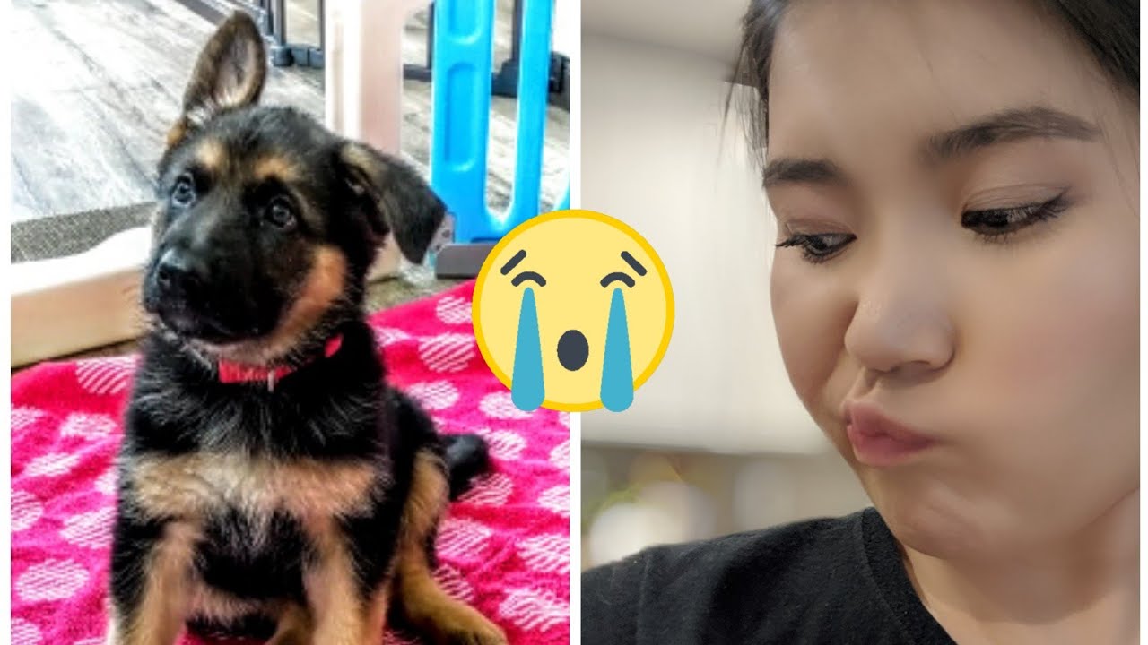 Төрсний дараах хямрал шиг л юм болж байна даа.😔🥺 Влог 81