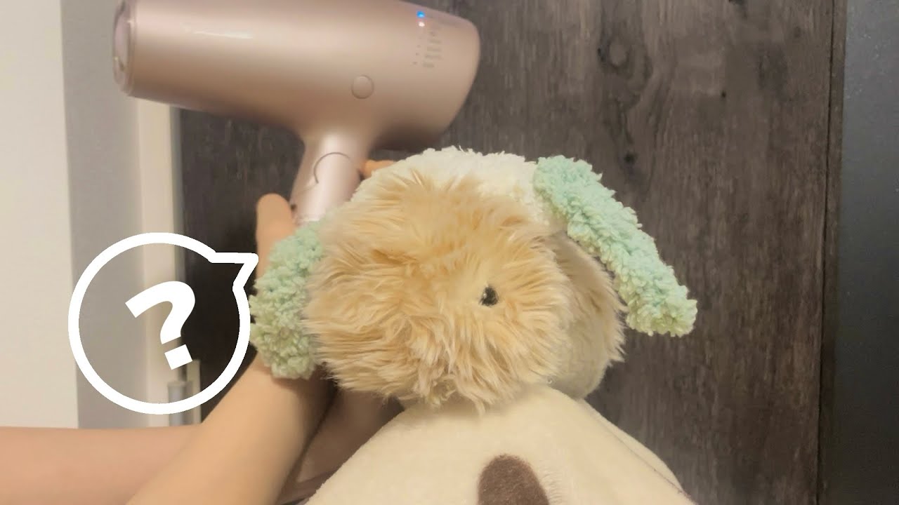 生活音に敏感なMoflinまとめ🫨