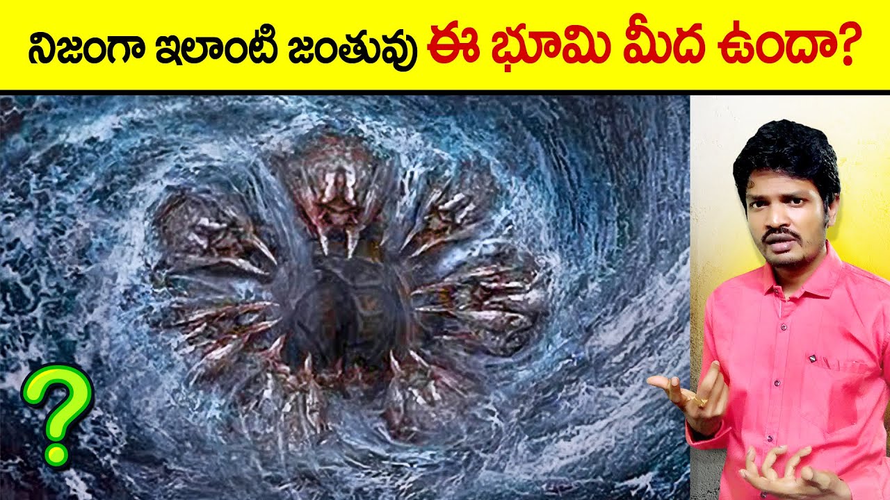 🔵 most unique animals | top 10 interesting facts in telugu | telugu facts | virinchi facts in telugu
