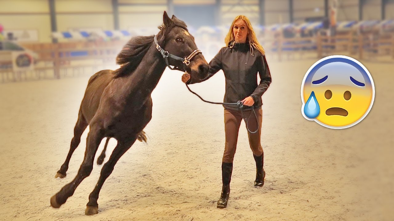 MIJN PAARD RAAKT IN PANIEK OP DEZE NIEUWE STAL... 😰 - Vlog #111