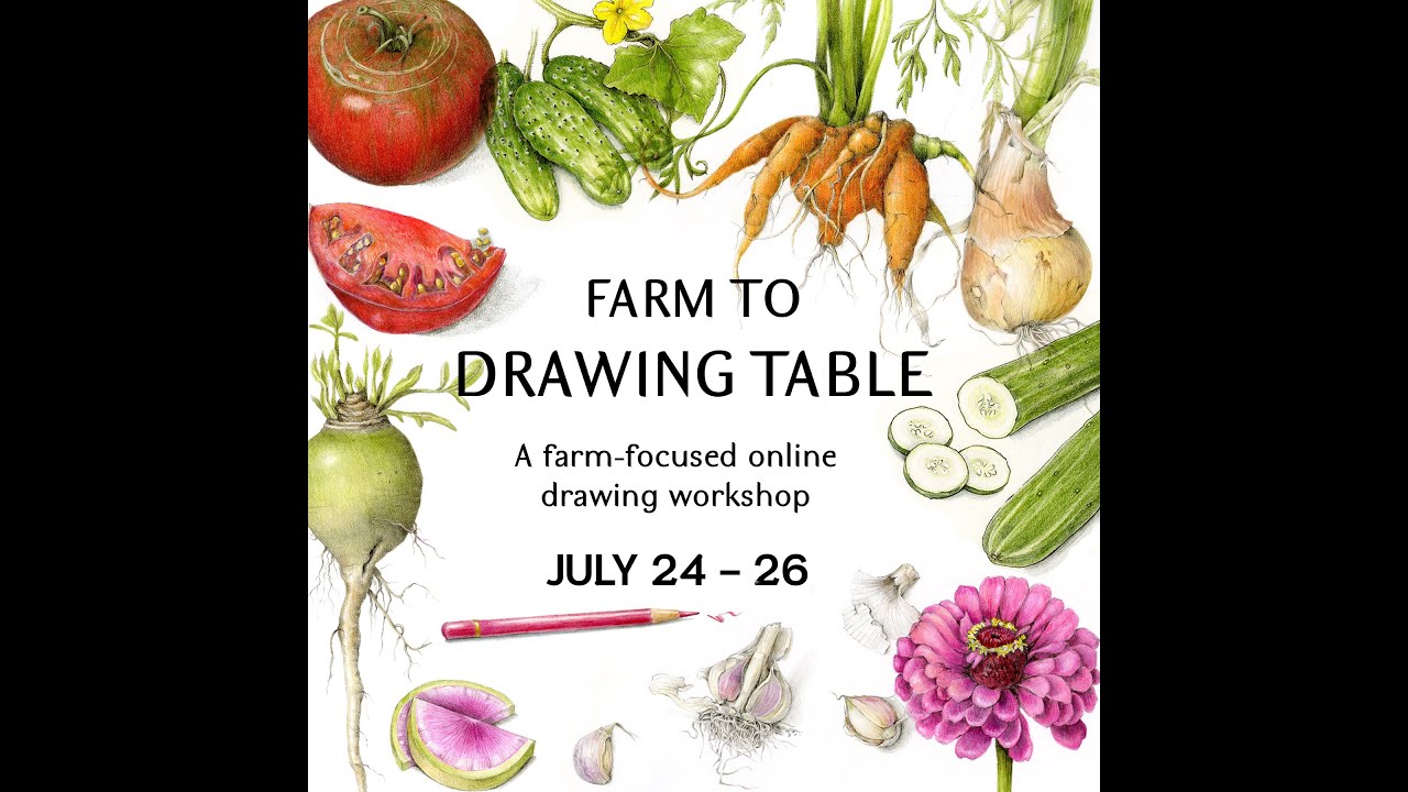 Farm to Drawing Table Workshop Part 3: Farm Fresh Lunch