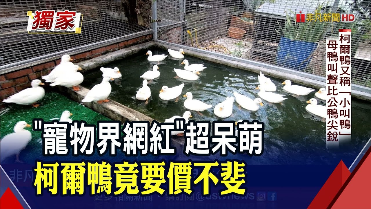 吃可愛長大!