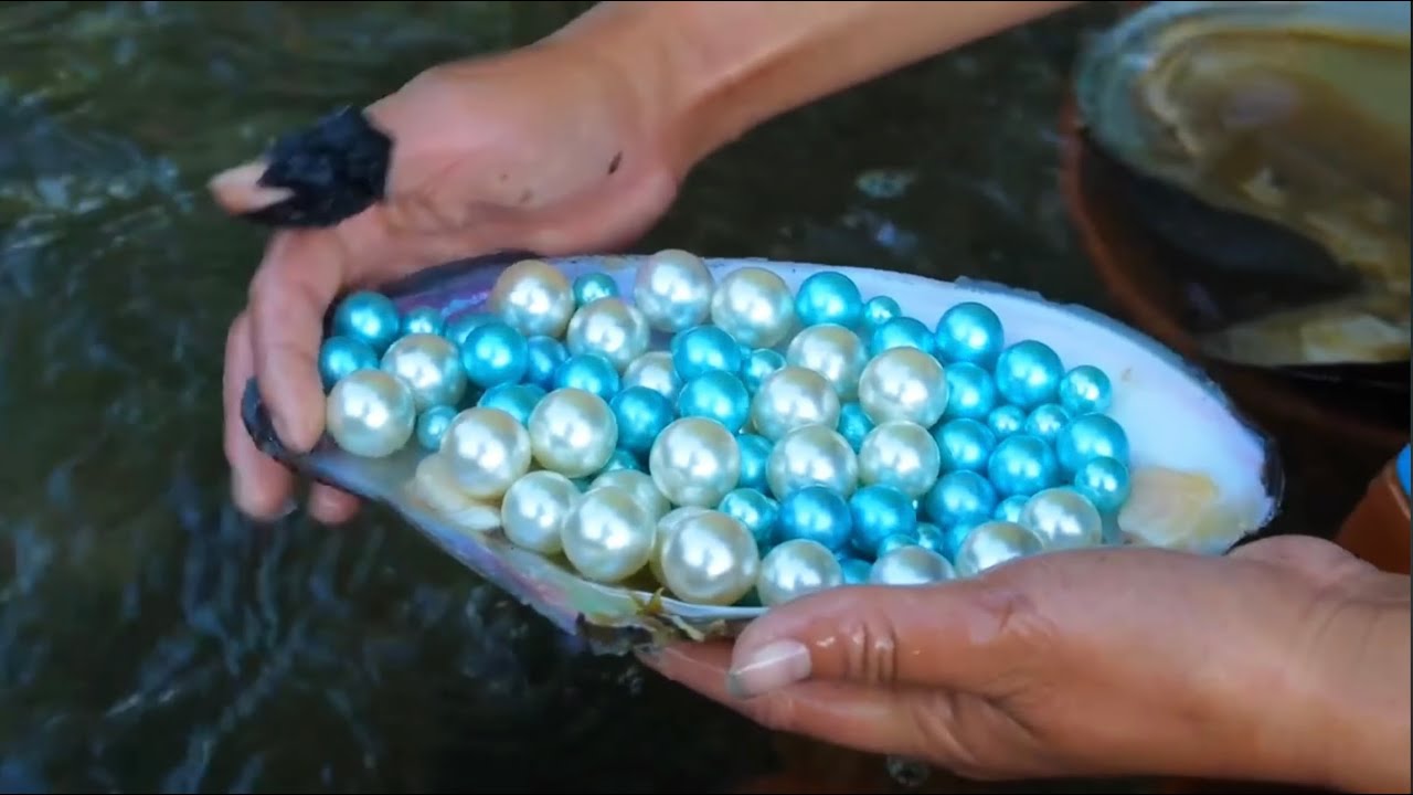 &ldquo;Freshwater Pearls vs. Saltwater Pearls: Everything You Need to Know&rdquo;(Fictional content)