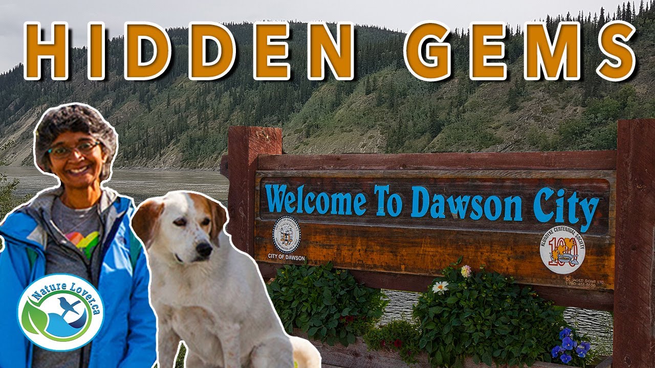 Hidden Gems of Dawson City Revealed!