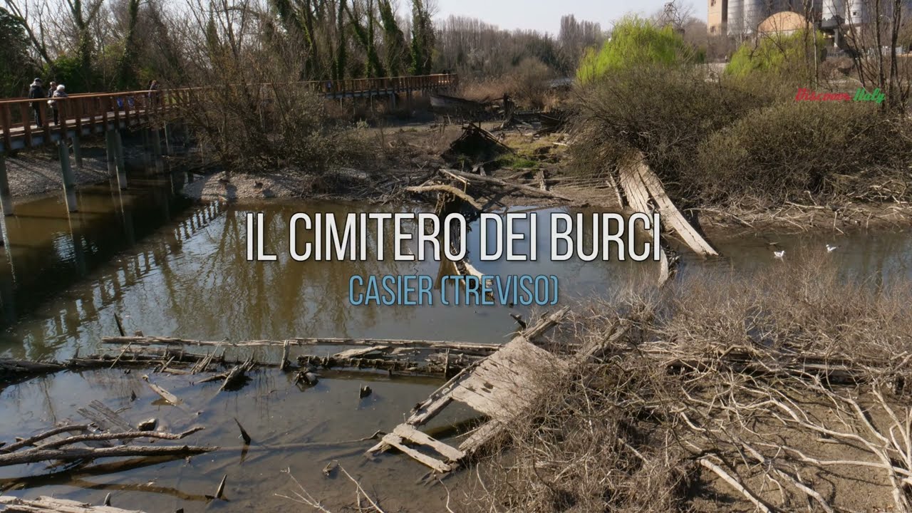 Cimitero dei burci a Casier (Treviso)
