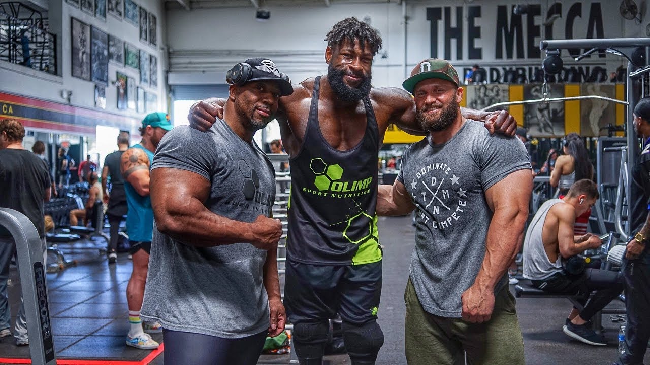 Debut prépa Mr Olympia 2019: Entraînement de BRAS avec BIONIC BODY SHAWN RHODEN et Charles GLASS
