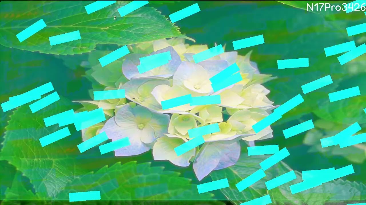 Oxidizer-beta.exe (again)