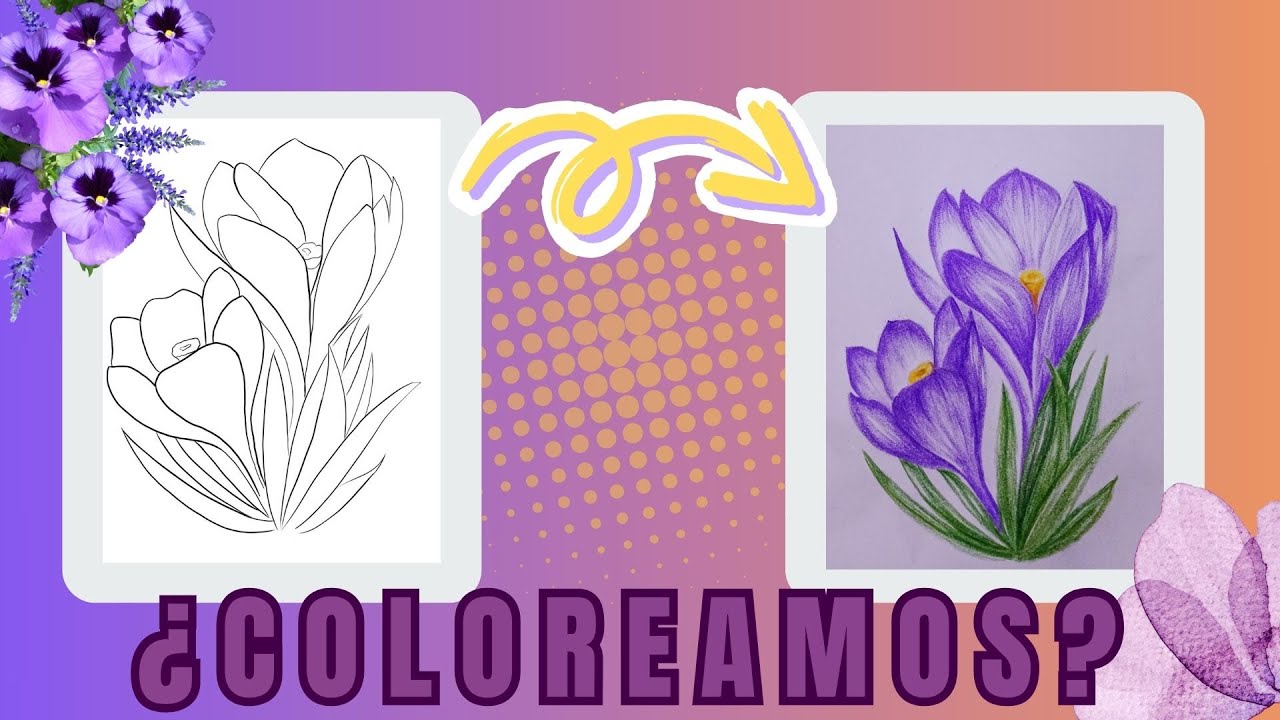 Flor de azafrán morada paso a paso | Dibujo fácil y terapéutico