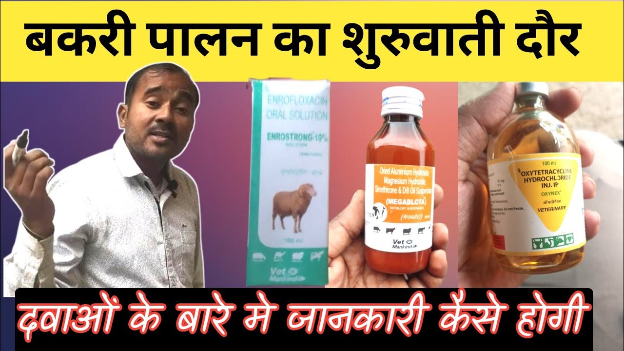 Bakri Palan Me Kaise Hoti Hai Galtiya |Hum krte Kya H |Vimalumrao |Bakri Me Sardi Jukham Khanshi |